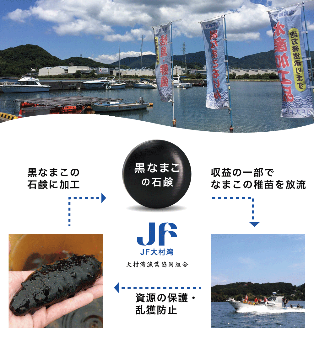 黒なまこ石鹸の収益の一部は、黒なまこの稚魚放流を実施して地域に還元しています。