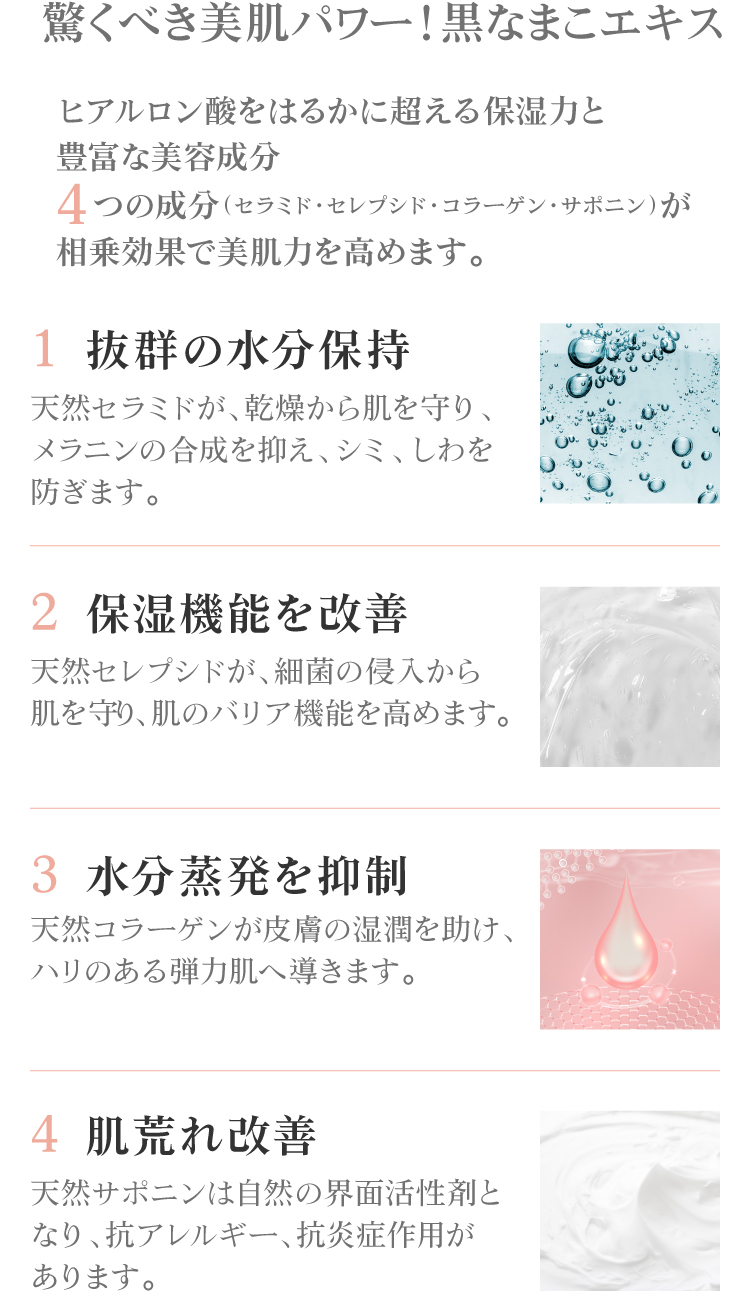 黒なまこ商品の特性と効能