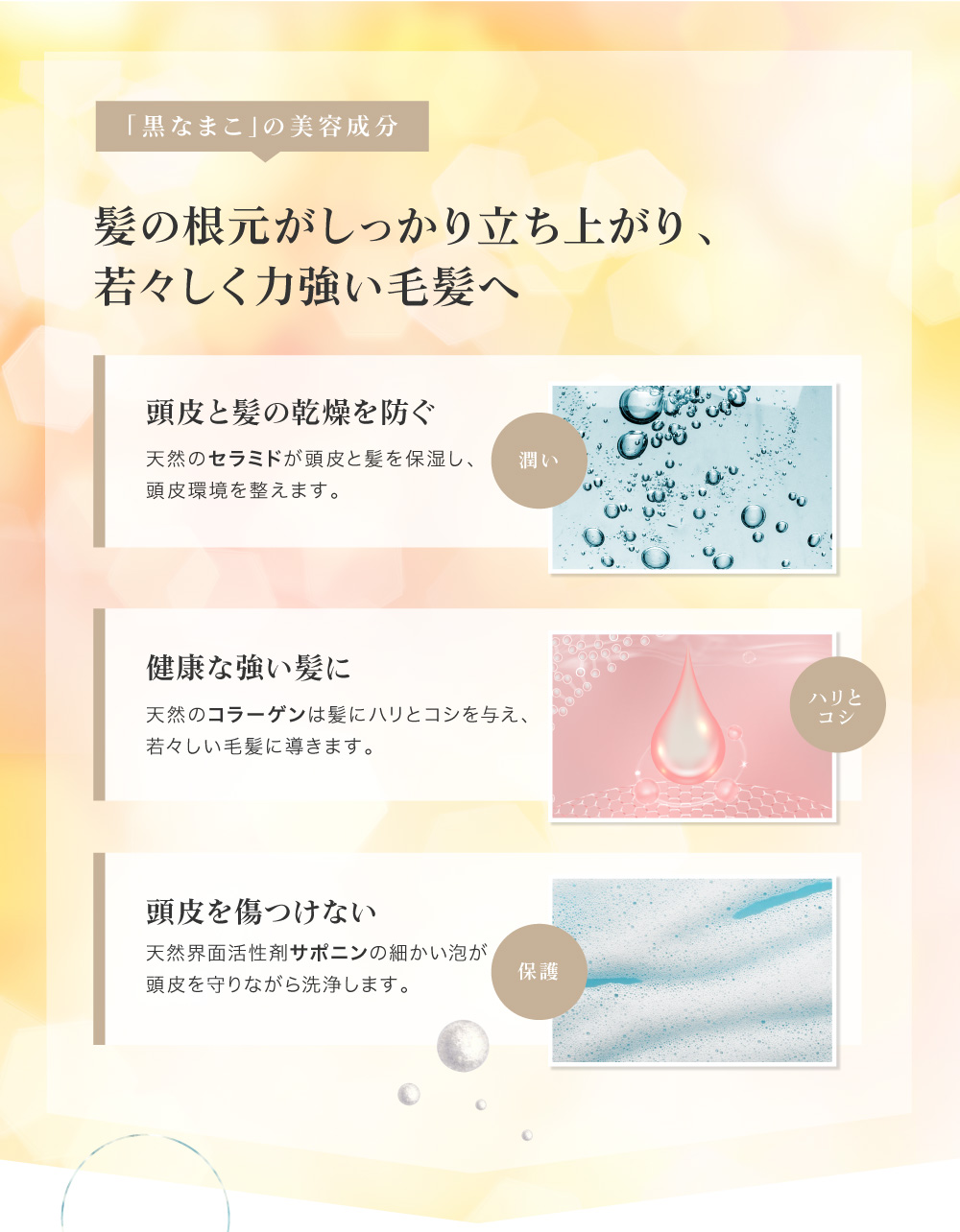 黒なまこのシャンプーは頭皮を守りながら洗浄します。毛髪がしっかり立ち上がり、若々しく力強い毛髪へと導きます。