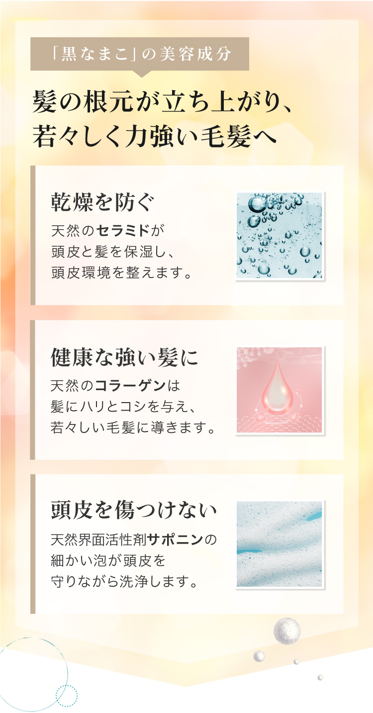 黒なまこのシャンプーは頭皮を守りながら洗浄します。毛髪がしっかり立ち上がり、若々しく力強い毛髪へと導きます。