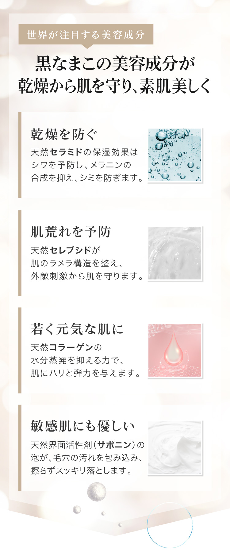 黒なまこ石鹸 - 【黒なまこ石鹸公式サイト】オンラインショップ｜乾燥 