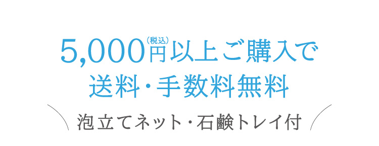 5千円以上ご購入で送料・手数料無料！黒なまこ石鹸専用泡立てネット・石鹸トレイ付き。