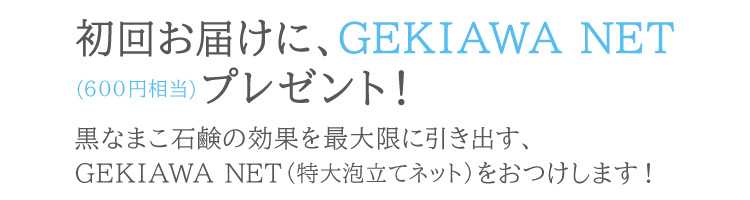 初回お届けに、GEKIAWA NET（600円相当のオリジナル特大サイズ泡立てネット）プレゼント！