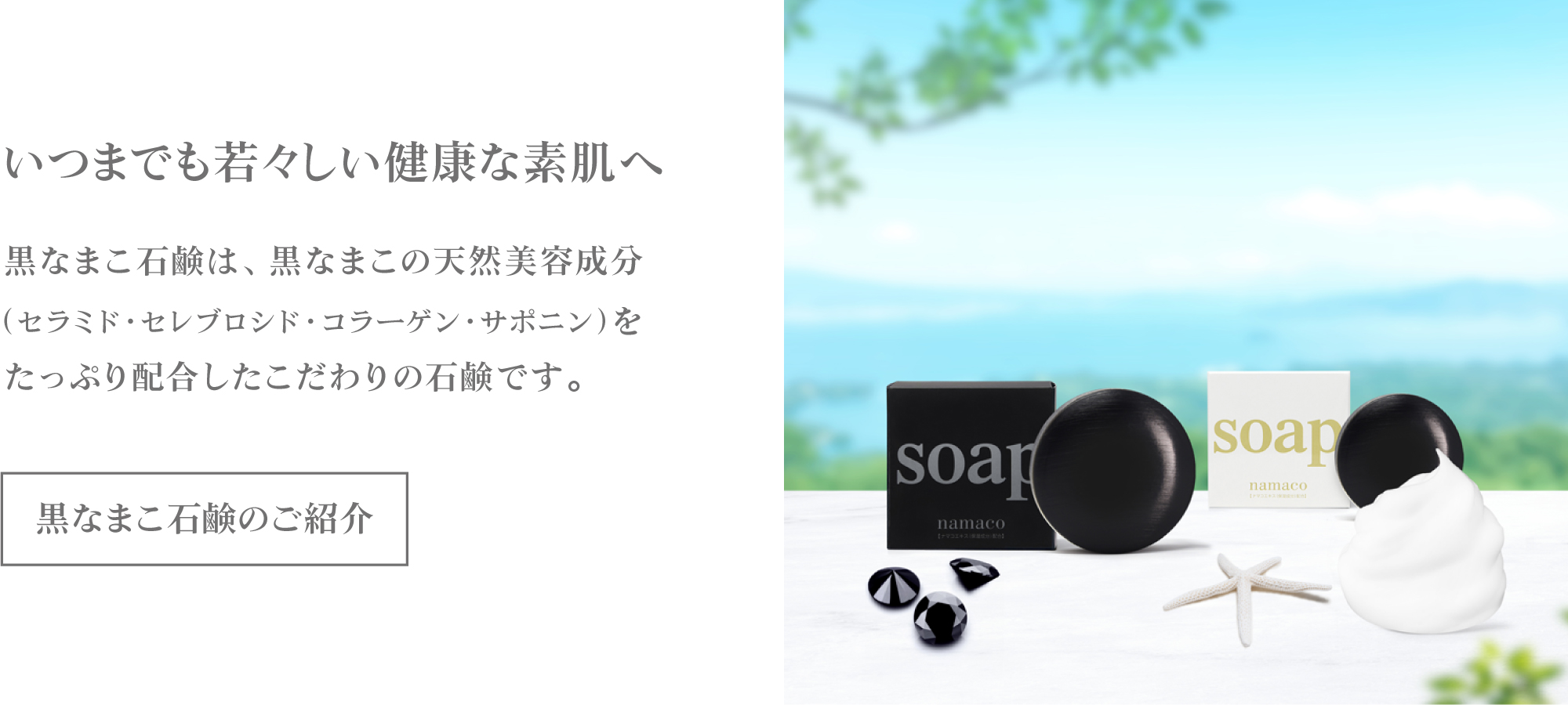 いつまでも若々しい健康な素肌へ。黒なまこの石鹸のご紹介