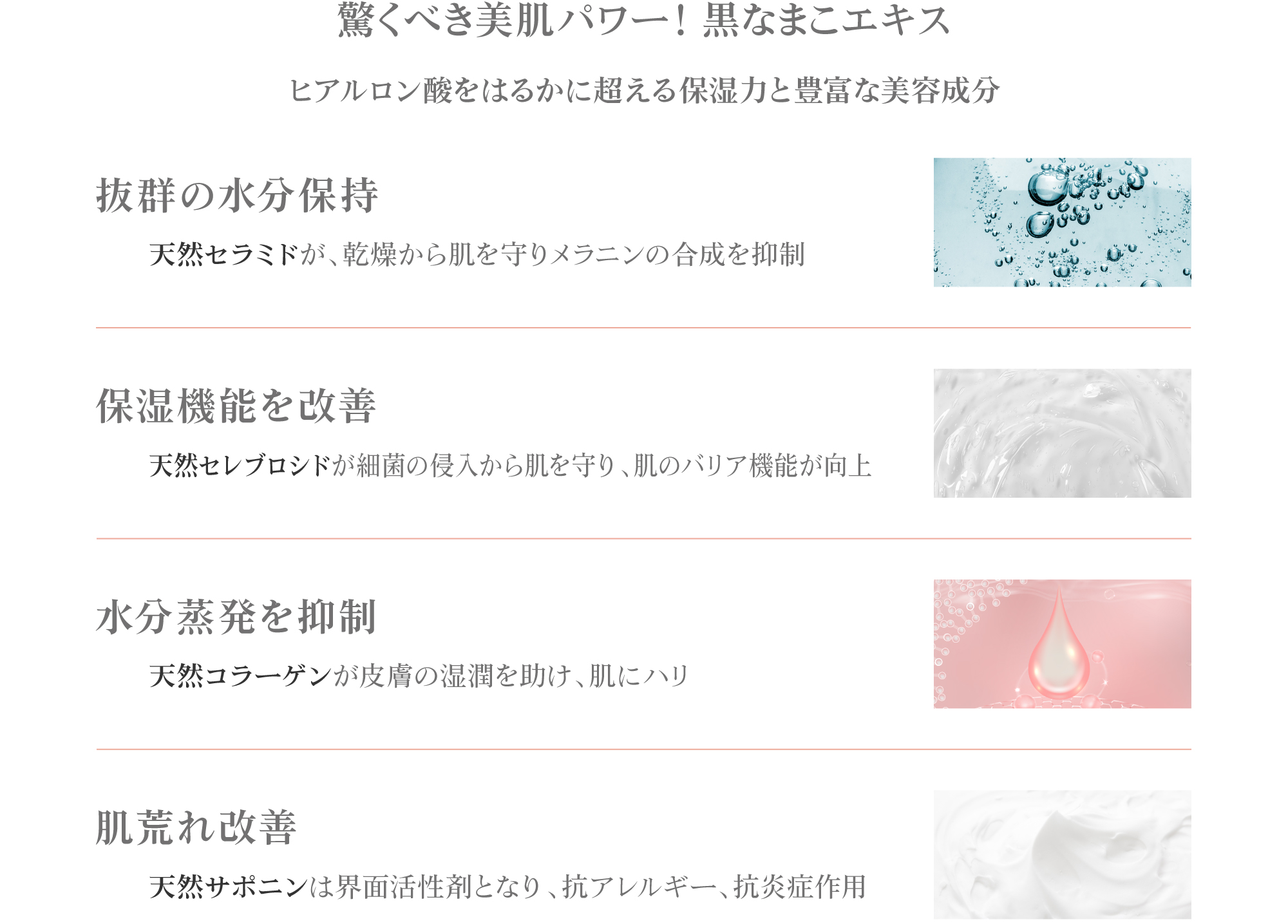 黒なまこエキスの特性と効能