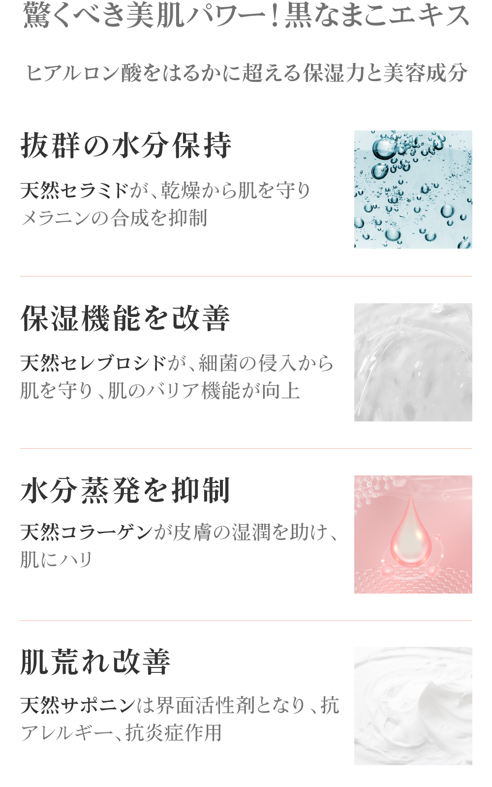 黒なまこエキスの特性と効能