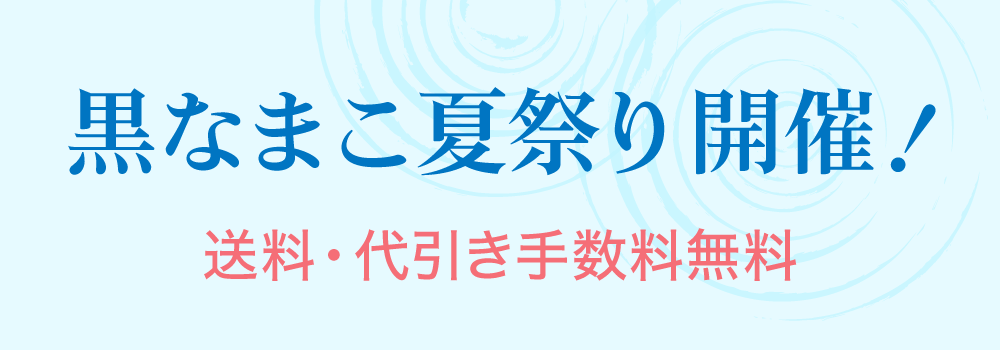 黒なまこ夏祭りセール2025
