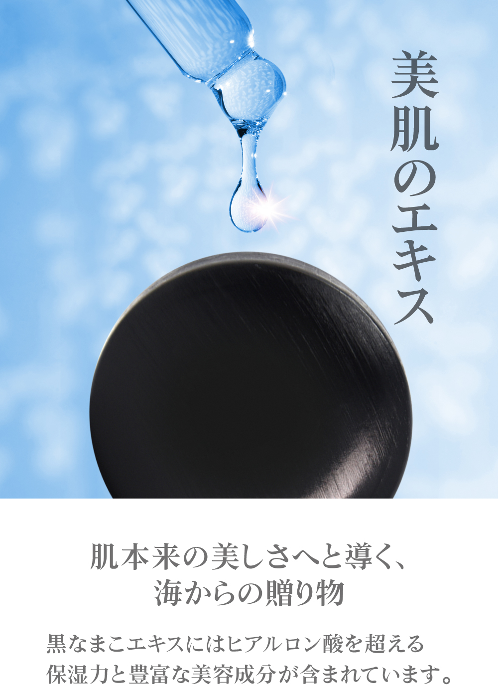 黒なまこの天然美容成分は肌本来の美しさへと導く、海からの贈り物。「黒なまこ石鹸」