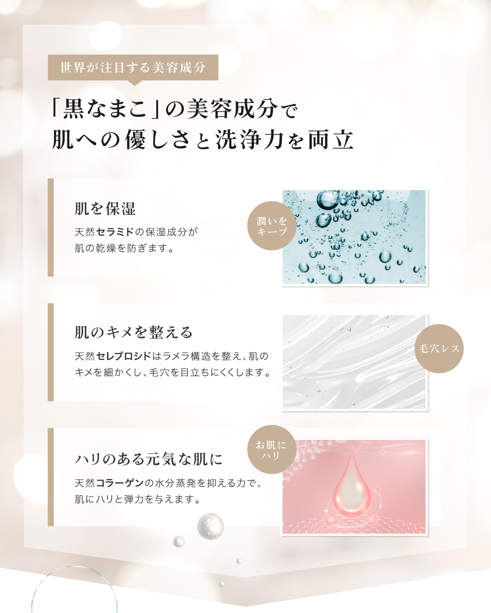 黒なまこのサポニンやセラミド、コラーゲンなど天然の美容成分がお肌に優しくアプローチし、潤いのある肌へ導きます。