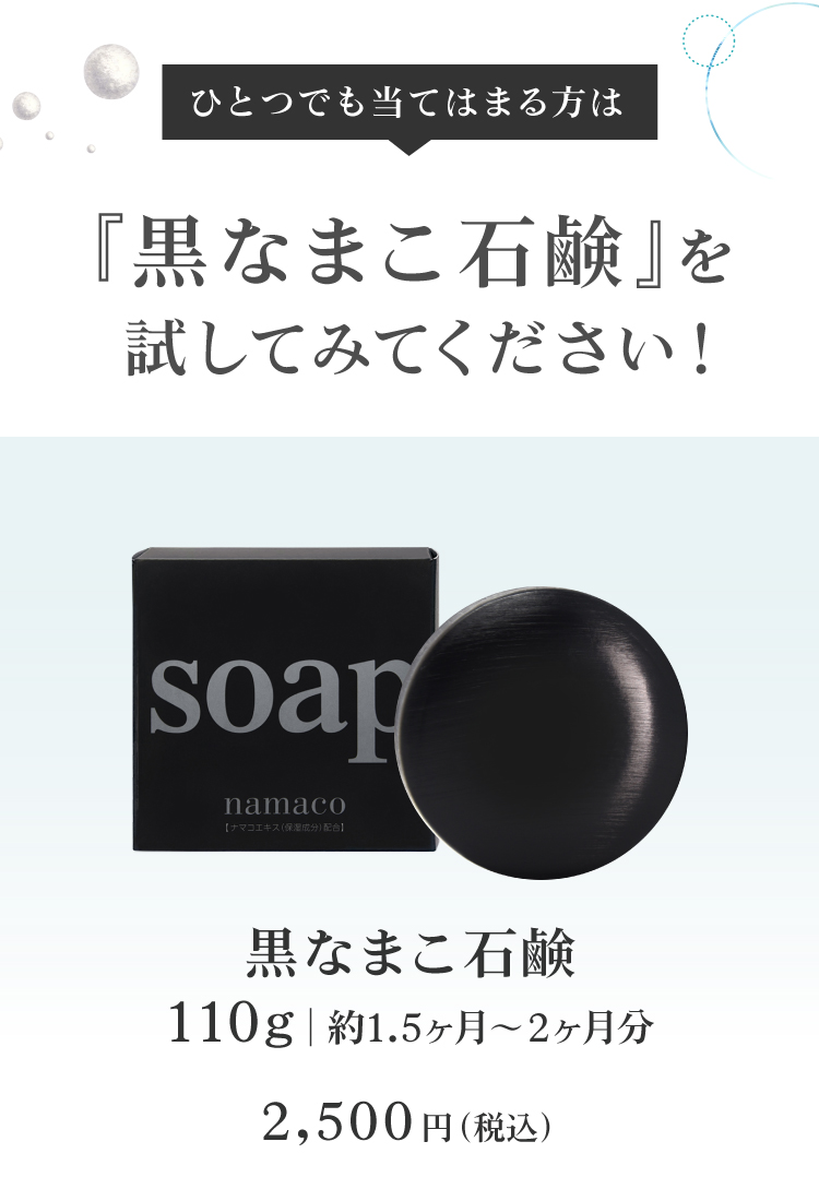 黒なまこ石鹸110g 2500円