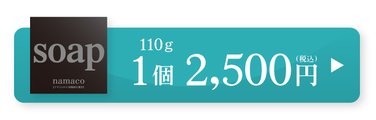 黒なまこ石鹸110g　2,500円