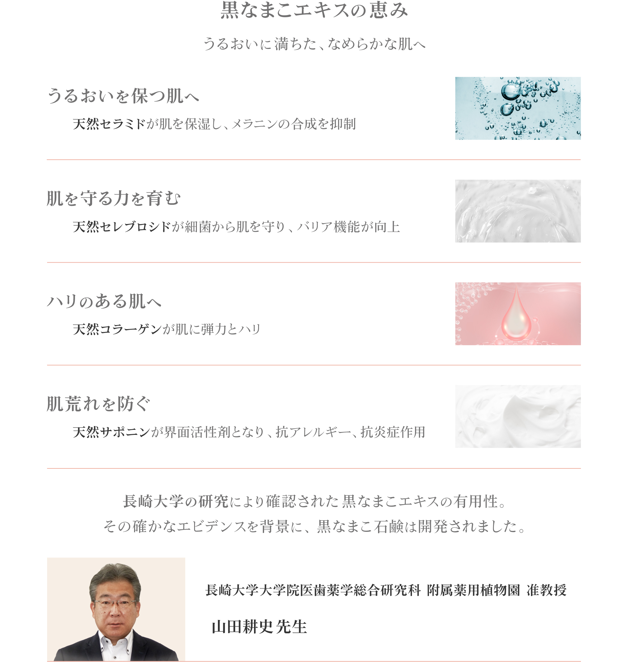 黒なまこエキスの恵み