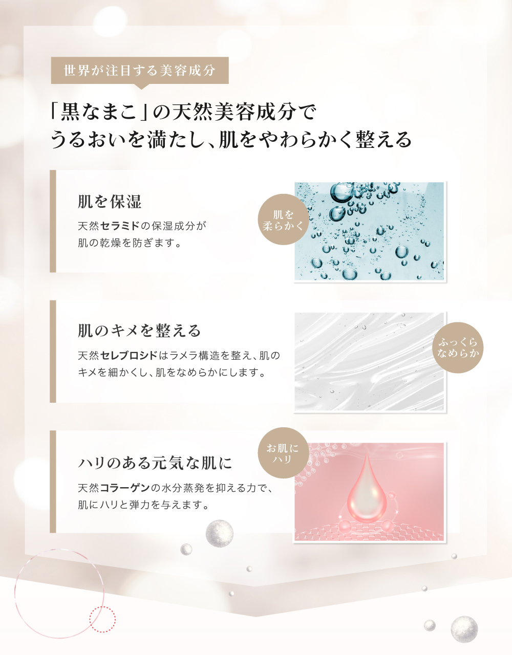 黒なまこの天然美容成分でうるおいを満たし、肌をやわらかく整える。、天然セラミドの保湿成分が肌の乾燥を防ぎます。天然セレブロシドはラメラ構造をえ、肌のキメを細かくし、肌をなめらかにします。天然コラーゲンの水分蒸発を抑える力で、肌にハリと弾力を与えます。