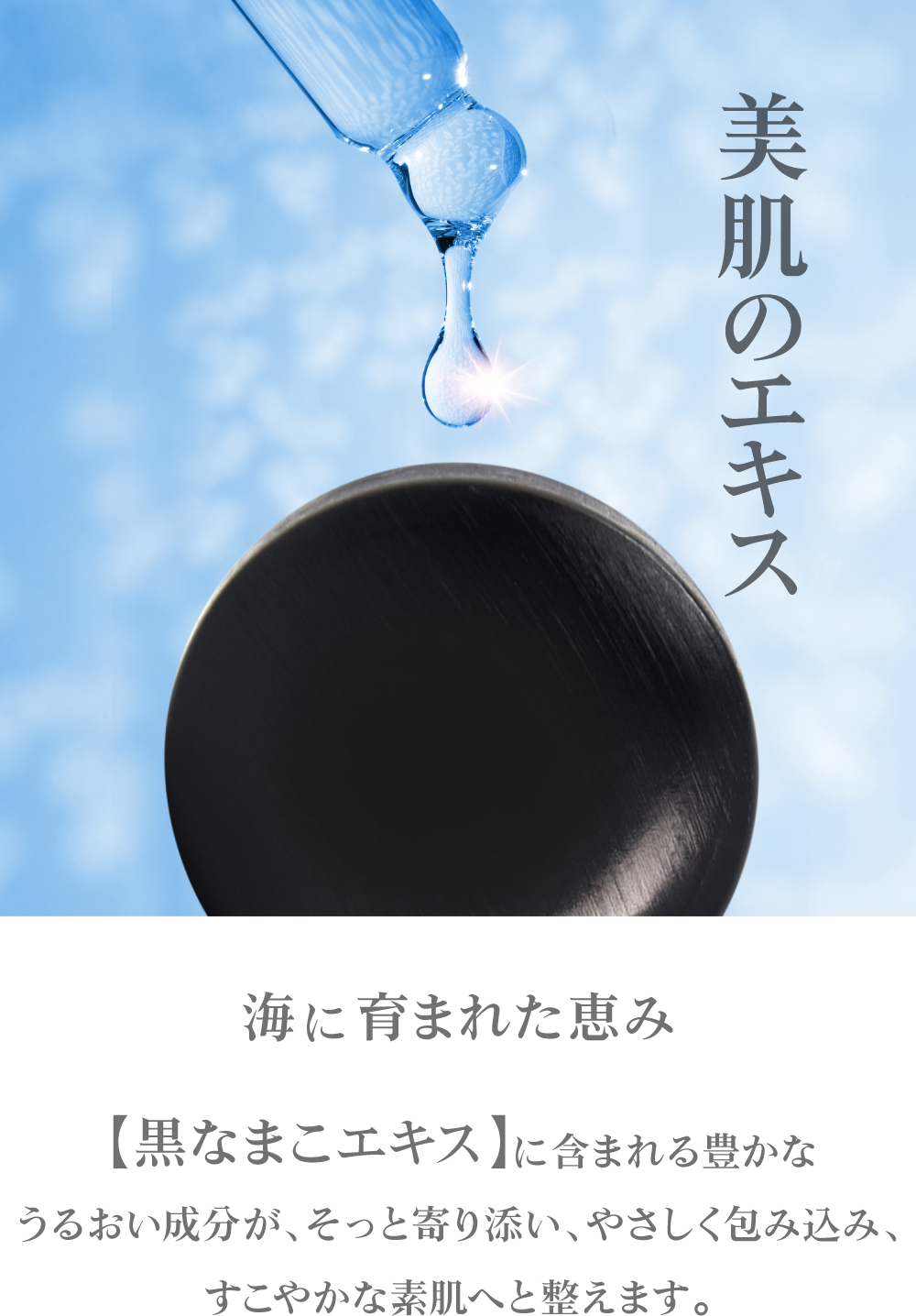 黒なまこエキスは、美肌のエキス。ヒアルロン酸を超える保湿力と豊富な美容成分が含まれています。
