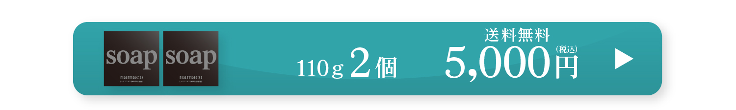 黒なまこ石鹸110g2個セット　5,000円