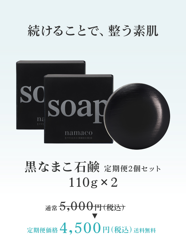 nss  黒なまこ石鹸20個セット 黒なまこ石鹸 - 【黒なまこ石鹸公式サイト】オンラインショップ｜乾燥