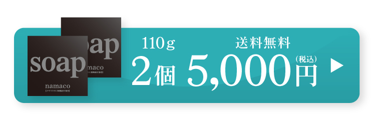 黒なまこ石鹸110g2個セット　5,000円