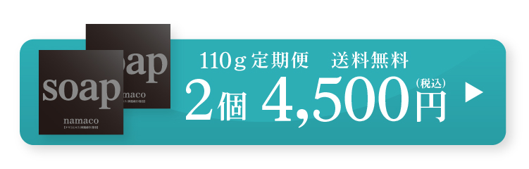 黒なまこ石鹸110g 定期便2個セット 4,500円