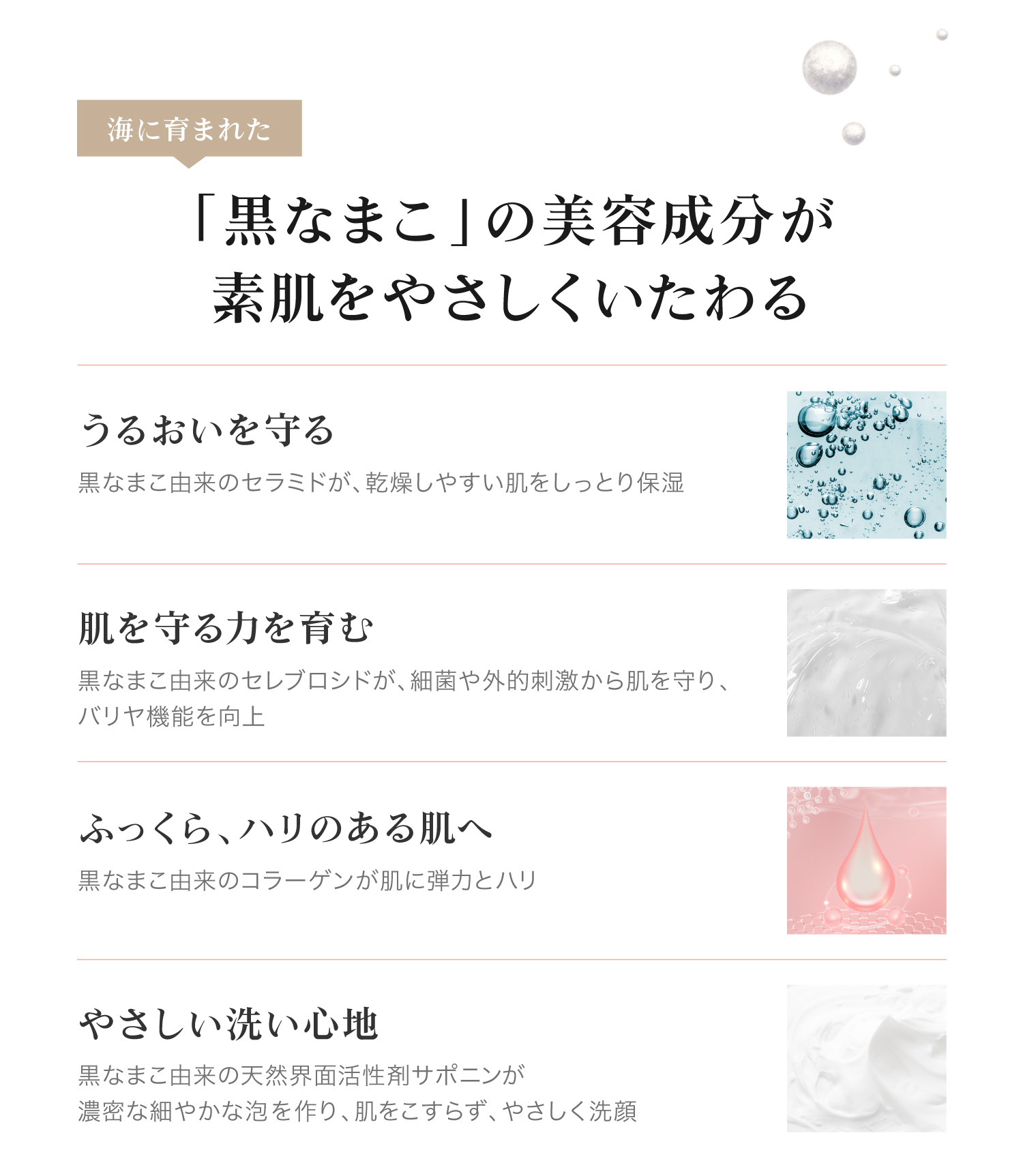 海に育まれた「黒なまこ」の美容成分がうるおいを守り、やさしい洗い心地で、肌を守る力を育みながら素肌をやさしくいたわります。